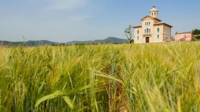 Torre Lluvià