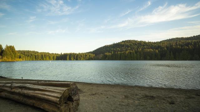 Una playa en un lago.